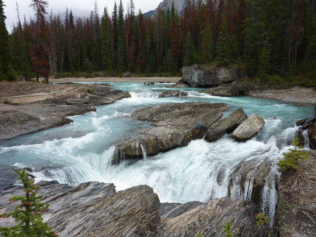 P1010011.JPG - Yoho Nationalpark, Kicking Horse River