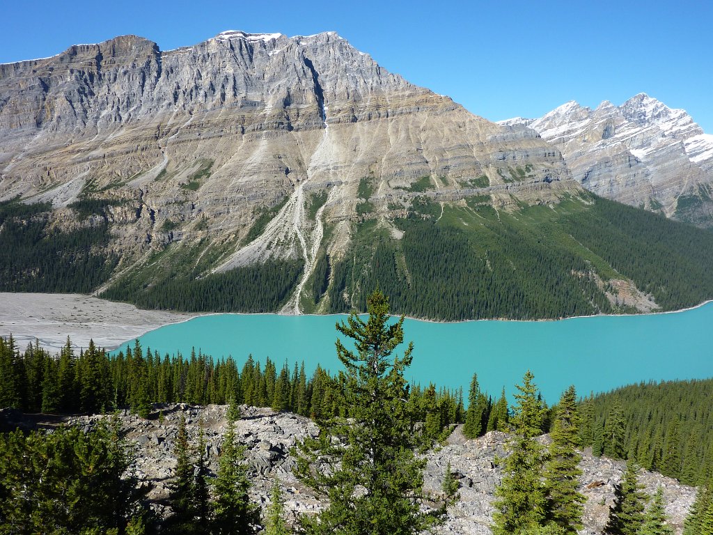 P1010151.JPG - Peyto Lake im Banff Nationalpark