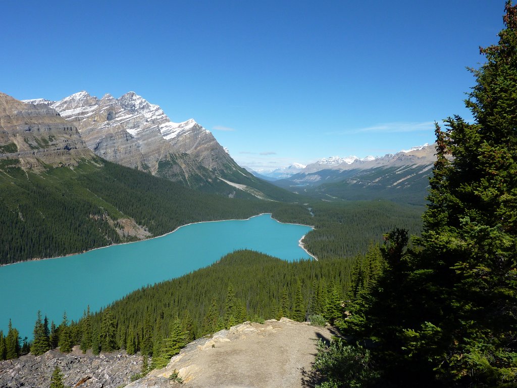 P1010152.JPG - Peyto Lake im Banff Nationalpark