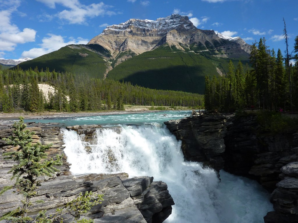 P1010225.JPG - Athabasca Falls im Jasper Nationalpark