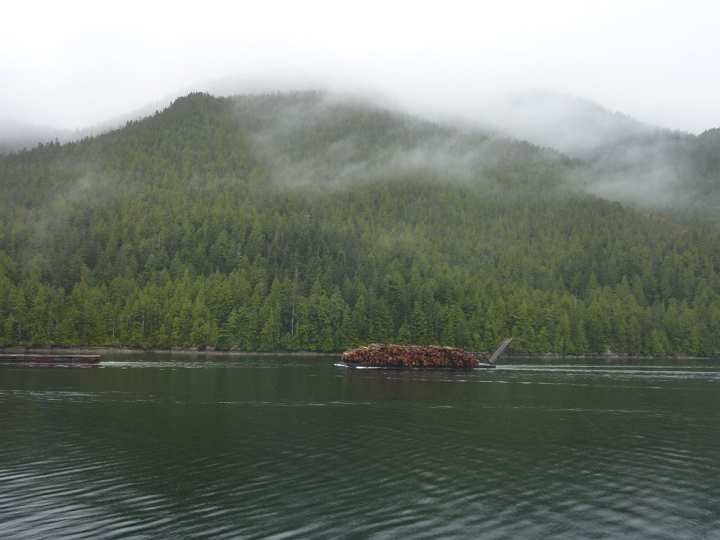 P1010296.JPG - Holztransport in der Inside Passage